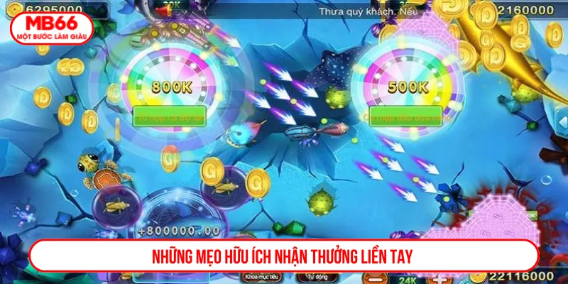 Áp dụng mẹo thông minh gia tăng cơ hội nhận thưởng
