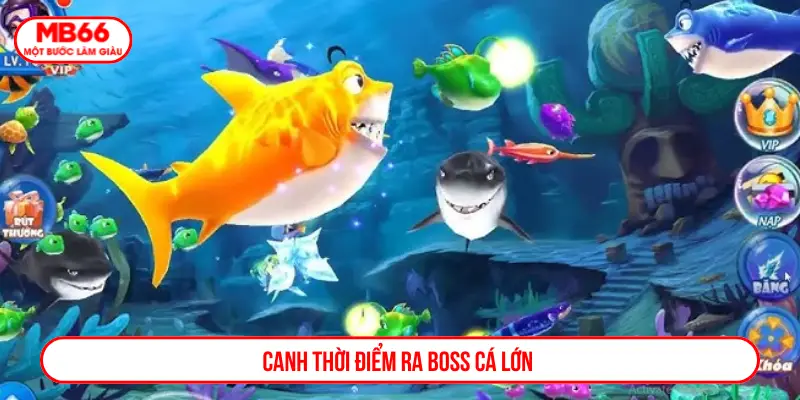 Canh thời điểm ra boss cá lớn