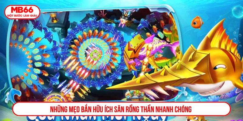 Kết hợp bí kíp săn thưởng chuẩn xác gia tăng thưởng