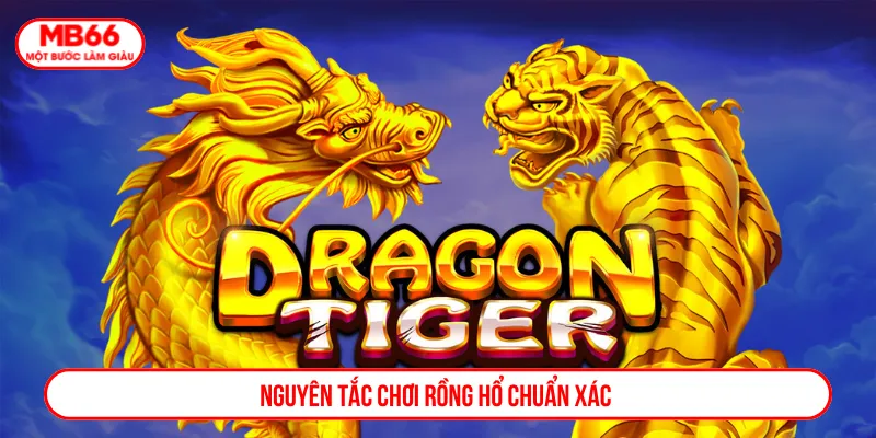 Nắm vững quy tắc chơi live Rồng Hổ đảm bảo hiệu quả
