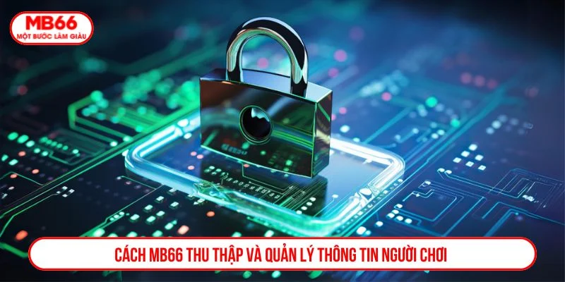 Chính Sách Bảo Mật Cam Kết An Toàn Dữ Liệu Người Chơi Chính sách bảo mật MB66 cam kết chỉ thu thập những thông tin cơ bản