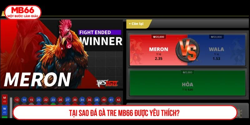 Sảnh đá gà tre tại MB66 rất được người chơi yêu thích
