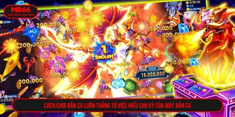 Cách chơi bắn cá luôn thắng từ việc hiểu chu kỳ của máy bắn cá