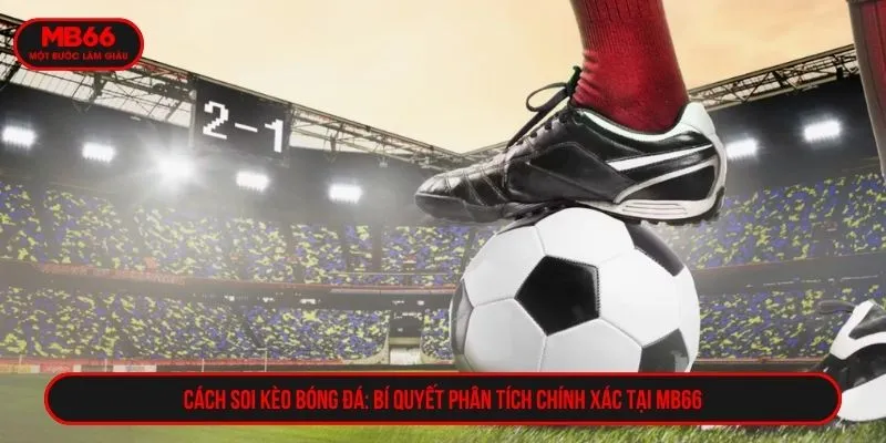 Cách soi kèo bóng đá