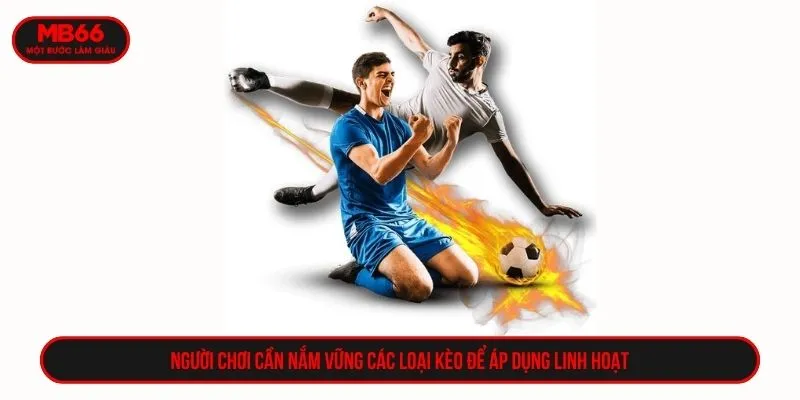 Người chơi cần nắm vững các loại kèo để áp dụng linh hoạt