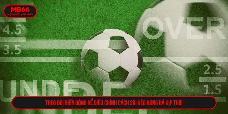 Theo dõi biến động để điều chỉnh cách soi kèo bóng đá kịp thời